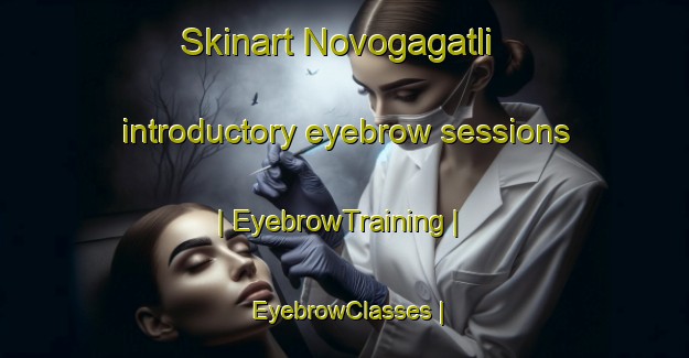 Skinart Novogagatli introductory eyebrow sessions | EyebrowTraining | EyebrowClasses | SkinartTraining-Russian Federation